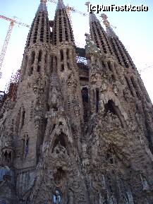 [P07] Sagrada Familia » foto by DaniX
 - 
<span class="allrVoted glyphicon glyphicon-heart hidden" id="av264007"></span>
<a class="m-l-10 hidden" id="sv264007" onclick="voting_Foto_DelVot(,264007,3356)" role="button">șterge vot <span class="glyphicon glyphicon-remove"></span></a>
<a id="v9264007" class=" c-red"  onclick="voting_Foto_SetVot(264007)" role="button"><span class="glyphicon glyphicon-heart-empty"></span> <b>LIKE</b> = Votează poza</a> <img class="hidden"  id="f264007W9" src="/imagini/loader.gif" border="0" /><span class="AjErrMes hidden" id="e264007ErM"></span>