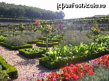 P13 [AUG-2012] Castelul Villandry - grădina de legume. 