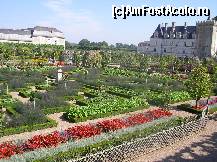 P14 [AUG-2012] Castelul Villandry - grădina de legume - un rezultat spectaculos dat de combinația de flori și legume. 