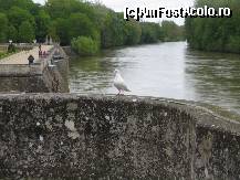 [P03] Raul pe care e construit Chenonceau » foto by miha_t
 - 
<span class="allrVoted glyphicon glyphicon-heart hidden" id="av114722"></span>
<a class="m-l-10 hidden" id="sv114722" onclick="voting_Foto_DelVot(,114722,3364)" role="button">șterge vot <span class="glyphicon glyphicon-remove"></span></a>
<a id="v9114722" class=" c-red"  onclick="voting_Foto_SetVot(114722)" role="button"><span class="glyphicon glyphicon-heart-empty"></span> <b>LIKE</b> = Votează poza</a> <img class="hidden"  id="f114722W9" src="/imagini/loader.gif" border="0" /><span class="AjErrMes hidden" id="e114722ErM"></span>