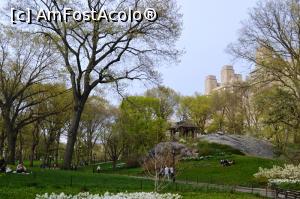 [P13] New York - Central Park » foto by makuy*
 - 
<span class="allrVoted glyphicon glyphicon-heart hidden" id="av739089"></span>
<a class="m-l-10 hidden" id="sv739089" onclick="voting_Foto_DelVot(,739089,3385)" role="button">șterge vot <span class="glyphicon glyphicon-remove"></span></a>
<a id="v9739089" class=" c-red"  onclick="voting_Foto_SetVot(739089)" role="button"><span class="glyphicon glyphicon-heart-empty"></span> <b>LIKE</b> = Votează poza</a> <img class="hidden"  id="f739089W9" src="/imagini/loader.gif" border="0" /><span class="AjErrMes hidden" id="e739089ErM"></span>