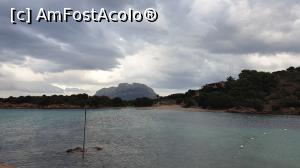 [P15] Costa Corallina Bay » foto by k-lator
 - 
<span class="allrVoted glyphicon glyphicon-heart hidden" id="av1192187"></span>
<a class="m-l-10 hidden" id="sv1192187" onclick="voting_Foto_DelVot(,1192187,3391)" role="button">șterge vot <span class="glyphicon glyphicon-remove"></span></a>
<a id="v91192187" class=" c-red"  onclick="voting_Foto_SetVot(1192187)" role="button"><span class="glyphicon glyphicon-heart-empty"></span> <b>LIKE</b> = Votează poza</a> <img class="hidden"  id="f1192187W9" src="/imagini/loader.gif" border="0" /><span class="AjErrMes hidden" id="e1192187ErM"></span>