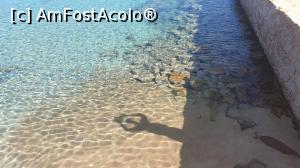 [P24] Dig- Spiaggia di Cala Spalmatore » foto by k-lator
 - 
<span class="allrVoted glyphicon glyphicon-heart hidden" id="av1192196"></span>
<a class="m-l-10 hidden" id="sv1192196" onclick="voting_Foto_DelVot(,1192196,3391)" role="button">șterge vot <span class="glyphicon glyphicon-remove"></span></a>
<a id="v91192196" class=" c-red"  onclick="voting_Foto_SetVot(1192196)" role="button"><span class="glyphicon glyphicon-heart-empty"></span> <b>LIKE</b> = Votează poza</a> <img class="hidden"  id="f1192196W9" src="/imagini/loader.gif" border="0" /><span class="AjErrMes hidden" id="e1192196ErM"></span>