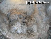 [P13] Copia craniului femeii de Neanderthal (originalul este la British Museum), de fapt Homo Calpensis, dupa Calpe, denumirea romana a Gibraltarului. » foto by mcosmin
 - 
<span class="allrVoted glyphicon glyphicon-heart hidden" id="av298941"></span>
<a class="m-l-10 hidden" id="sv298941" onclick="voting_Foto_DelVot(,298941,3397)" role="button">șterge vot <span class="glyphicon glyphicon-remove"></span></a>
<a id="v9298941" class=" c-red"  onclick="voting_Foto_SetVot(298941)" role="button"><span class="glyphicon glyphicon-heart-empty"></span> <b>LIKE</b> = Votează poza</a> <img class="hidden"  id="f298941W9" src="/imagini/loader.gif" border="0" /><span class="AjErrMes hidden" id="e298941ErM"></span>