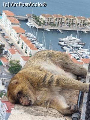 [P13]  -- <small>// FĂRĂ DESCRIERE</small> » foto by Maya_C
 - 
<span class="allrVoted glyphicon glyphicon-heart hidden" id="av1507241"></span>
<a class="m-l-10 hidden" id="sv1507241" onclick="voting_Foto_DelVot(,1507241,3397)" role="button">șterge vot <span class="glyphicon glyphicon-remove"></span></a>
<a id="v91507241" class=" c-red"  onclick="voting_Foto_SetVot(1507241)" role="button"><span class="glyphicon glyphicon-heart-empty"></span> <b>LIKE</b> = Votează poza</a> <img class="hidden"  id="f1507241W9" src="/imagini/loader.gif" border="0" /><span class="AjErrMes hidden" id="e1507241ErM"></span>