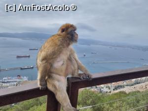 [P33]  -- <small>// FĂRĂ DESCRIERE</small> » foto by Maya_C
 - 
<span class="allrVoted glyphicon glyphicon-heart hidden" id="av1507261"></span>
<a class="m-l-10 hidden" id="sv1507261" onclick="voting_Foto_DelVot(,1507261,3397)" role="button">șterge vot <span class="glyphicon glyphicon-remove"></span></a>
<a id="v91507261" class=" c-red"  onclick="voting_Foto_SetVot(1507261)" role="button"><span class="glyphicon glyphicon-heart-empty"></span> <b>LIKE</b> = Votează poza</a> <img class="hidden"  id="f1507261W9" src="/imagini/loader.gif" border="0" /><span class="AjErrMes hidden" id="e1507261ErM"></span>