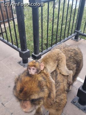 [P07]  -- <small>// FĂRĂ DESCRIERE</small> » foto by Maya_C
 - 
<span class="allrVoted glyphicon glyphicon-heart hidden" id="av1507235"></span>
<a class="m-l-10 hidden" id="sv1507235" onclick="voting_Foto_DelVot(,1507235,3397)" role="button">șterge vot <span class="glyphicon glyphicon-remove"></span></a>
<a id="v91507235" class=" c-red"  onclick="voting_Foto_SetVot(1507235)" role="button"><span class="glyphicon glyphicon-heart-empty"></span> <b>LIKE</b> = Votează poza</a> <img class="hidden"  id="f1507235W9" src="/imagini/loader.gif" border="0" /><span class="AjErrMes hidden" id="e1507235ErM"></span>