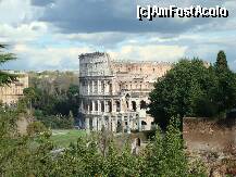 [P03] Colosseum » foto by motzul
 - 
<span class="allrVoted glyphicon glyphicon-heart hidden" id="av191747"></span>
<a class="m-l-10 hidden" id="sv191747" onclick="voting_Foto_DelVot(,191747,3406)" role="button">șterge vot <span class="glyphicon glyphicon-remove"></span></a>
<a id="v9191747" class=" c-red"  onclick="voting_Foto_SetVot(191747)" role="button"><span class="glyphicon glyphicon-heart-empty"></span> <b>LIKE</b> = Votează poza</a> <img class="hidden"  id="f191747W9" src="/imagini/loader.gif" border="0" /><span class="AjErrMes hidden" id="e191747ErM"></span>