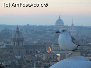 [P17] Cupola San Pietro in plan indepartat » foto by adri-nico
 - 
<span class="allrVoted glyphicon glyphicon-heart hidden" id="av830623"></span>
<a class="m-l-10 hidden" id="sv830623" onclick="voting_Foto_DelVot(,830623,3406)" role="button">șterge vot <span class="glyphicon glyphicon-remove"></span></a>
<a id="v9830623" class=" c-red"  onclick="voting_Foto_SetVot(830623)" role="button"><span class="glyphicon glyphicon-heart-empty"></span> <b>LIKE</b> = Votează poza</a> <img class="hidden"  id="f830623W9" src="/imagini/loader.gif" border="0" /><span class="AjErrMes hidden" id="e830623ErM"></span>