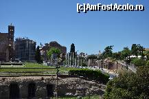[P22] Vedere din Colosseum catre Via dei Fori Imperiali » foto by Muffin2009*
 - 
<span class="allrVoted glyphicon glyphicon-heart hidden" id="av325013"></span>
<a class="m-l-10 hidden" id="sv325013" onclick="voting_Foto_DelVot(,325013,3406)" role="button">șterge vot <span class="glyphicon glyphicon-remove"></span></a>
<a id="v9325013" class=" c-red"  onclick="voting_Foto_SetVot(325013)" role="button"><span class="glyphicon glyphicon-heart-empty"></span> <b>LIKE</b> = Votează poza</a> <img class="hidden"  id="f325013W9" src="/imagini/loader.gif" border="0" /><span class="AjErrMes hidden" id="e325013ErM"></span>