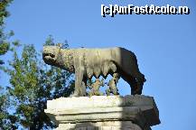 [P98] Copia statuii Lupoaicei ce se afla in fata Muzeelor Capitoline » foto by Muffin2009*
 - 
<span class="allrVoted glyphicon glyphicon-heart hidden" id="av325125"></span>
<a class="m-l-10 hidden" id="sv325125" onclick="voting_Foto_DelVot(,325125,3406)" role="button">șterge vot <span class="glyphicon glyphicon-remove"></span></a>
<a id="v9325125" class=" c-red"  onclick="voting_Foto_SetVot(325125)" role="button"><span class="glyphicon glyphicon-heart-empty"></span> <b>LIKE</b> = Votează poza</a> <img class="hidden"  id="f325125W9" src="/imagini/loader.gif" border="0" /><span class="AjErrMes hidden" id="e325125ErM"></span>