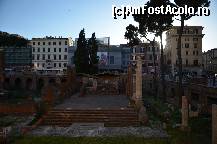 [P02] Largo di Torre Argentina » foto by Muffin2009*
 - 
<span class="allrVoted glyphicon glyphicon-heart hidden" id="av325620"></span>
<a class="m-l-10 hidden" id="sv325620" onclick="voting_Foto_DelVot(,325620,3406)" role="button">șterge vot <span class="glyphicon glyphicon-remove"></span></a>
<a id="v9325620" class=" c-red"  onclick="voting_Foto_SetVot(325620)" role="button"><span class="glyphicon glyphicon-heart-empty"></span> <b>LIKE</b> = Votează poza</a> <img class="hidden"  id="f325620W9" src="/imagini/loader.gif" border="0" /><span class="AjErrMes hidden" id="e325620ErM"></span>