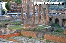 [P03] Largo di Torre Argentina » foto by Muffin2009*
 - 
<span class="allrVoted glyphicon glyphicon-heart hidden" id="av325621"></span>
<a class="m-l-10 hidden" id="sv325621" onclick="voting_Foto_DelVot(,325621,3406)" role="button">șterge vot <span class="glyphicon glyphicon-remove"></span></a>
<a id="v9325621" class=" c-red"  onclick="voting_Foto_SetVot(325621)" role="button"><span class="glyphicon glyphicon-heart-empty"></span> <b>LIKE</b> = Votează poza</a> <img class="hidden"  id="f325621W9" src="/imagini/loader.gif" border="0" /><span class="AjErrMes hidden" id="e325621ErM"></span>