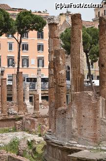 [P06] Largo di Torre Argentina » foto by Muffin2009*
 - 
<span class="allrVoted glyphicon glyphicon-heart hidden" id="av325624"></span>
<a class="m-l-10 hidden" id="sv325624" onclick="voting_Foto_DelVot(,325624,3406)" role="button">șterge vot <span class="glyphicon glyphicon-remove"></span></a>
<a id="v9325624" class=" c-red"  onclick="voting_Foto_SetVot(325624)" role="button"><span class="glyphicon glyphicon-heart-empty"></span> <b>LIKE</b> = Votează poza</a> <img class="hidden"  id="f325624W9" src="/imagini/loader.gif" border="0" /><span class="AjErrMes hidden" id="e325624ErM"></span>