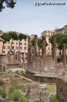 [P07] Largo di Torre Argentina » foto by Muffin2009*
 - 
<span class="allrVoted glyphicon glyphicon-heart hidden" id="av325625"></span>
<a class="m-l-10 hidden" id="sv325625" onclick="voting_Foto_DelVot(,325625,3406)" role="button">șterge vot <span class="glyphicon glyphicon-remove"></span></a>
<a id="v9325625" class=" c-red"  onclick="voting_Foto_SetVot(325625)" role="button"><span class="glyphicon glyphicon-heart-empty"></span> <b>LIKE</b> = Votează poza</a> <img class="hidden"  id="f325625W9" src="/imagini/loader.gif" border="0" /><span class="AjErrMes hidden" id="e325625ErM"></span>