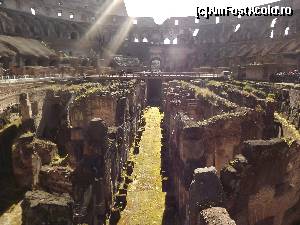 [P09] La pas prin Roma- Colosseum » foto by robert
 - 
<span class="allrVoted glyphicon glyphicon-heart hidden" id="av678977"></span>
<a class="m-l-10 hidden" id="sv678977" onclick="voting_Foto_DelVot(,678977,3406)" role="button">șterge vot <span class="glyphicon glyphicon-remove"></span></a>
<a id="v9678977" class=" c-red"  onclick="voting_Foto_SetVot(678977)" role="button"><span class="glyphicon glyphicon-heart-empty"></span> <b>LIKE</b> = Votează poza</a> <img class="hidden"  id="f678977W9" src="/imagini/loader.gif" border="0" /><span class="AjErrMes hidden" id="e678977ErM"></span>