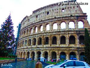 [P09] Colosseum » foto by GabrielaG
 - 
<span class="allrVoted glyphicon glyphicon-heart hidden" id="av590360"></span>
<a class="m-l-10 hidden" id="sv590360" onclick="voting_Foto_DelVot(,590360,3406)" role="button">șterge vot <span class="glyphicon glyphicon-remove"></span></a>
<a id="v9590360" class=" c-red"  onclick="voting_Foto_SetVot(590360)" role="button"><span class="glyphicon glyphicon-heart-empty"></span> <b>LIKE</b> = Votează poza</a> <img class="hidden"  id="f590360W9" src="/imagini/loader.gif" border="0" /><span class="AjErrMes hidden" id="e590360ErM"></span>