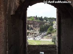 [P21] Vedere catre Forumul Roman - vedere de la un balcon din Colloseum » foto by Aurici
 - 
<span class="allrVoted glyphicon glyphicon-heart hidden" id="av593104"></span>
<a class="m-l-10 hidden" id="sv593104" onclick="voting_Foto_DelVot(,593104,3406)" role="button">șterge vot <span class="glyphicon glyphicon-remove"></span></a>
<a id="v9593104" class=" c-red"  onclick="voting_Foto_SetVot(593104)" role="button"><span class="glyphicon glyphicon-heart-empty"></span> <b>LIKE</b> = Votează poza</a> <img class="hidden"  id="f593104W9" src="/imagini/loader.gif" border="0" /><span class="AjErrMes hidden" id="e593104ErM"></span>