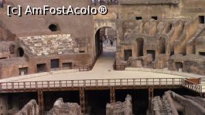 [P10] Scena restaurata la Colosseum. Apare o pisica, unica vazuta prin imensul amfiteatru.  » foto by ovidiuyepi
 - 
<span class="allrVoted glyphicon glyphicon-heart hidden" id="av969552"></span>
<a class="m-l-10 hidden" id="sv969552" onclick="voting_Foto_DelVot(,969552,3406)" role="button">șterge vot <span class="glyphicon glyphicon-remove"></span></a>
<a id="v9969552" class=" c-red"  onclick="voting_Foto_SetVot(969552)" role="button"><span class="glyphicon glyphicon-heart-empty"></span> <b>LIKE</b> = Votează poza</a> <img class="hidden"  id="f969552W9" src="/imagini/loader.gif" border="0" /><span class="AjErrMes hidden" id="e969552ErM"></span>