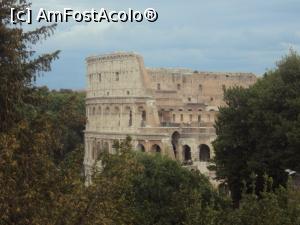 [P13] - Colosseum- vedere de pe colina Palatină. » foto by doinafil
 - 
<span class="allrVoted glyphicon glyphicon-heart hidden" id="av902809"></span>
<a class="m-l-10 hidden" id="sv902809" onclick="voting_Foto_DelVot(,902809,3406)" role="button">șterge vot <span class="glyphicon glyphicon-remove"></span></a>
<a id="v9902809" class=" c-red"  onclick="voting_Foto_SetVot(902809)" role="button"><span class="glyphicon glyphicon-heart-empty"></span> <b>LIKE</b> = Votează poza</a> <img class="hidden"  id="f902809W9" src="/imagini/loader.gif" border="0" /><span class="AjErrMes hidden" id="e902809ErM"></span>