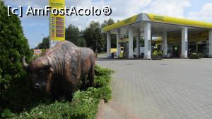 [P24] O stație Tomsol pe S6. Aici benzina e ceva mai scumpă, 4,35 zloți cea de 95, adică aprox. 1 € » foto by Costi
 - 
<span class="allrVoted glyphicon glyphicon-heart hidden" id="av787900"></span>
<a class="m-l-10 hidden" id="sv787900" onclick="voting_Foto_DelVot(,787900,3411)" role="button">șterge vot <span class="glyphicon glyphicon-remove"></span></a>
<a id="v9787900" class=" c-red"  onclick="voting_Foto_SetVot(787900)" role="button"><span class="glyphicon glyphicon-heart-empty"></span> <b>LIKE</b> = Votează poza</a> <img class="hidden"  id="f787900W9" src="/imagini/loader.gif" border="0" /><span class="AjErrMes hidden" id="e787900ErM"></span>