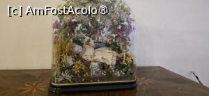 [P17] 17. Sunt și multe exponate fără explicații. » foto by msnd
 - 
<span class="allrVoted glyphicon glyphicon-heart hidden" id="av1520742"></span>
<a class="m-l-10 hidden" id="sv1520742" onclick="voting_Foto_DelVot(,1520742,3421)" role="button">șterge vot <span class="glyphicon glyphicon-remove"></span></a>
<a id="v91520742" class=" c-red"  onclick="voting_Foto_SetVot(1520742)" role="button"><span class="glyphicon glyphicon-heart-empty"></span> <b>LIKE</b> = Votează poza</a> <img class="hidden"  id="f1520742W9" src="/imagini/loader.gif" border="0" /><span class="AjErrMes hidden" id="e1520742ErM"></span>