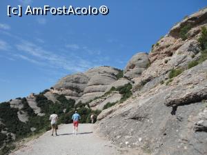 [P08] Priveliști -Mânăstirea Montserrat.  La pas spre Capela Sant Joan. » foto by maryka
 - 
<span class="allrVoted glyphicon glyphicon-heart hidden" id="av1122003"></span>
<a class="m-l-10 hidden" id="sv1122003" onclick="voting_Foto_DelVot(,1122003,3448)" role="button">șterge vot <span class="glyphicon glyphicon-remove"></span></a>
<a id="v91122003" class=" c-red"  onclick="voting_Foto_SetVot(1122003)" role="button"><span class="glyphicon glyphicon-heart-empty"></span> <b>LIKE</b> = Votează poza</a> <img class="hidden"  id="f1122003W9" src="/imagini/loader.gif" border="0" /><span class="AjErrMes hidden" id="e1122003ErM"></span>