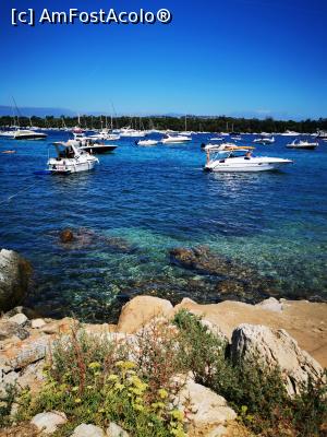 [P20] Golful dintre Île Saint Honorat și Île Sainte Marguerite » foto by cata2106
 - 
<span class="allrVoted glyphicon glyphicon-heart hidden" id="av1188782"></span>
<a class="m-l-10 hidden" id="sv1188782" onclick="voting_Foto_DelVot(,1188782,3467)" role="button">șterge vot <span class="glyphicon glyphicon-remove"></span></a>
<a id="v91188782" class=" c-red"  onclick="voting_Foto_SetVot(1188782)" role="button"><span class="glyphicon glyphicon-heart-empty"></span> <b>LIKE</b> = Votează poza</a> <img class="hidden"  id="f1188782W9" src="/imagini/loader.gif" border="0" /><span class="AjErrMes hidden" id="e1188782ErM"></span>