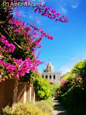 [P24] Abbaye De Lérins » foto by cata2106
 - 
<span class="allrVoted glyphicon glyphicon-heart hidden" id="av1188786"></span>
<a class="m-l-10 hidden" id="sv1188786" onclick="voting_Foto_DelVot(,1188786,3467)" role="button">șterge vot <span class="glyphicon glyphicon-remove"></span></a>
<a id="v91188786" class=" c-red"  onclick="voting_Foto_SetVot(1188786)" role="button"><span class="glyphicon glyphicon-heart-empty"></span> <b>LIKE</b> = Votează poza</a> <img class="hidden"  id="f1188786W9" src="/imagini/loader.gif" border="0" /><span class="AjErrMes hidden" id="e1188786ErM"></span>