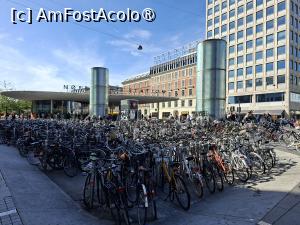 [P19] Copenhaga, Nørreport - Poarta de Nord, mulțime de biciclete » foto by mprofeanu
 - 
<span class="allrVoted glyphicon glyphicon-heart hidden" id="av1506232"></span>
<a class="m-l-10 hidden" id="sv1506232" onclick="voting_Foto_DelVot(,1506232,3497)" role="button">șterge vot <span class="glyphicon glyphicon-remove"></span></a>
<a id="v91506232" class=" c-red"  onclick="voting_Foto_SetVot(1506232)" role="button"><span class="glyphicon glyphicon-heart-empty"></span> <b>LIKE</b> = Votează poza</a> <img class="hidden"  id="f1506232W9" src="/imagini/loader.gif" border="0" /><span class="AjErrMes hidden" id="e1506232ErM"></span>