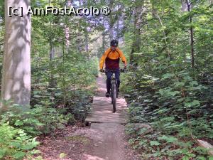 [P16] MTB-Tours Hareskoven, pe traseu » foto by Dragoș_MD
 - 
<span class="allrVoted glyphicon glyphicon-heart hidden" id="av1507520"></span>
<a class="m-l-10 hidden" id="sv1507520" onclick="voting_Foto_DelVot(,1507520,3497)" role="button">șterge vot <span class="glyphicon glyphicon-remove"></span></a>
<a id="v91507520" class=" c-red"  onclick="voting_Foto_SetVot(1507520)" role="button"><span class="glyphicon glyphicon-heart-empty"></span> <b>LIKE</b> = Votează poza</a> <img class="hidden"  id="f1507520W9" src="/imagini/loader.gif" border="0" /><span class="AjErrMes hidden" id="e1507520ErM"></span>