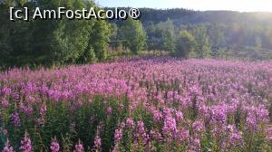 [P15] Muzeul Alta » foto by elenaadina
 - 
<span class="allrVoted glyphicon glyphicon-heart hidden" id="av1512712"></span>
<a class="m-l-10 hidden" id="sv1512712" onclick="voting_Foto_DelVot(,1512712,3499)" role="button">șterge vot <span class="glyphicon glyphicon-remove"></span></a>
<a id="v91512712" class=" c-red"  onclick="voting_Foto_SetVot(1512712)" role="button"><span class="glyphicon glyphicon-heart-empty"></span> <b>LIKE</b> = Votează poza</a> <img class="hidden"  id="f1512712W9" src="/imagini/loader.gif" border="0" /><span class="AjErrMes hidden" id="e1512712ErM"></span>