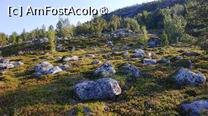 [P18] Muzeul Alta » foto by elenaadina
 - 
<span class="allrVoted glyphicon glyphicon-heart hidden" id="av1512715"></span>
<a class="m-l-10 hidden" id="sv1512715" onclick="voting_Foto_DelVot(,1512715,3499)" role="button">șterge vot <span class="glyphicon glyphicon-remove"></span></a>
<a id="v91512715" class=" c-red"  onclick="voting_Foto_SetVot(1512715)" role="button"><span class="glyphicon glyphicon-heart-empty"></span> <b>LIKE</b> = Votează poza</a> <img class="hidden"  id="f1512715W9" src="/imagini/loader.gif" border="0" /><span class="AjErrMes hidden" id="e1512715ErM"></span>