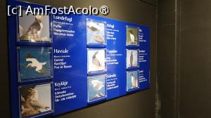 [P17]  -- <small>// FĂRĂ DESCRIERE</small> » foto by elenaadina
 - 
<span class="allrVoted glyphicon glyphicon-heart hidden" id="av1524551"></span>
<a class="m-l-10 hidden" id="sv1524551" onclick="voting_Foto_DelVot(,1524551,3499)" role="button">șterge vot <span class="glyphicon glyphicon-remove"></span></a>
<a id="v91524551" class=" c-red"  onclick="voting_Foto_SetVot(1524551)" role="button"><span class="glyphicon glyphicon-heart-empty"></span> <b>LIKE</b> = Votează poza</a> <img class="hidden"  id="f1524551W9" src="/imagini/loader.gif" border="0" /><span class="AjErrMes hidden" id="e1524551ErM"></span>