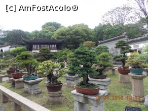 [P34] Suzhou, Tiger Hill, Minune de Bonsai » foto by mprofeanu
 - 
<span class="allrVoted glyphicon glyphicon-heart hidden" id="av736644"></span>
<a class="m-l-10 hidden" id="sv736644" onclick="voting_Foto_DelVot(,736644,3501)" role="button">șterge vot <span class="glyphicon glyphicon-remove"></span></a>
<a id="v9736644" class=" c-red"  onclick="voting_Foto_SetVot(736644)" role="button"><span class="glyphicon glyphicon-heart-empty"></span> <b>LIKE</b> = Votează poza</a> <img class="hidden"  id="f736644W9" src="/imagini/loader.gif" border="0" /><span class="AjErrMes hidden" id="e736644ErM"></span>