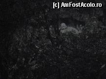 [P33] Buddha cel vesel » foto by grecudoina
 - 
<span class="allrVoted glyphicon glyphicon-heart hidden" id="av309427"></span>
<a class="m-l-10 hidden" id="sv309427" onclick="voting_Foto_DelVot(,309427,3501)" role="button">șterge vot <span class="glyphicon glyphicon-remove"></span></a>
<a id="v9309427" class=" c-red"  onclick="voting_Foto_SetVot(309427)" role="button"><span class="glyphicon glyphicon-heart-empty"></span> <b>LIKE</b> = Votează poza</a> <img class="hidden"  id="f309427W9" src="/imagini/loader.gif" border="0" /><span class="AjErrMes hidden" id="e309427ErM"></span>