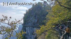 [P77]  -- <small>// FĂRĂ DESCRIERE</small> » foto by elenaadina
 - 
<span class="allrVoted glyphicon glyphicon-heart hidden" id="av1505677"></span>
<a class="m-l-10 hidden" id="sv1505677" onclick="voting_Foto_DelVot(,1505677,3501)" role="button">șterge vot <span class="glyphicon glyphicon-remove"></span></a>
<a id="v91505677" class=" c-red"  onclick="voting_Foto_SetVot(1505677)" role="button"><span class="glyphicon glyphicon-heart-empty"></span> <b>LIKE</b> = Votează poza</a> <img class="hidden"  id="f1505677W9" src="/imagini/loader.gif" border="0" /><span class="AjErrMes hidden" id="e1505677ErM"></span>