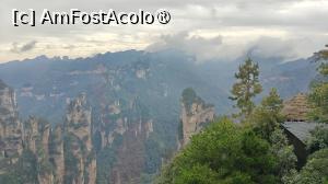 [P71]  -- <small>// FĂRĂ DESCRIERE</small> » foto by elenaadina
 - 
<span class="allrVoted glyphicon glyphicon-heart hidden" id="av1506560"></span>
<a class="m-l-10 hidden" id="sv1506560" onclick="voting_Foto_DelVot(,1506560,3501)" role="button">șterge vot <span class="glyphicon glyphicon-remove"></span></a>
<a id="v91506560" class=" c-red"  onclick="voting_Foto_SetVot(1506560)" role="button"><span class="glyphicon glyphicon-heart-empty"></span> <b>LIKE</b> = Votează poza</a> <img class="hidden"  id="f1506560W9" src="/imagini/loader.gif" border="0" /><span class="AjErrMes hidden" id="e1506560ErM"></span>