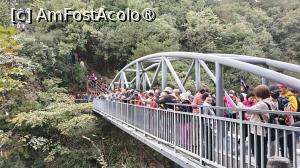 [P73]  -- <small>// FĂRĂ DESCRIERE</small> » foto by elenaadina
 - 
<span class="allrVoted glyphicon glyphicon-heart hidden" id="av1506562"></span>
<a class="m-l-10 hidden" id="sv1506562" onclick="voting_Foto_DelVot(,1506562,3501)" role="button">șterge vot <span class="glyphicon glyphicon-remove"></span></a>
<a id="v91506562" class=" c-red"  onclick="voting_Foto_SetVot(1506562)" role="button"><span class="glyphicon glyphicon-heart-empty"></span> <b>LIKE</b> = Votează poza</a> <img class="hidden"  id="f1506562W9" src="/imagini/loader.gif" border="0" /><span class="AjErrMes hidden" id="e1506562ErM"></span>