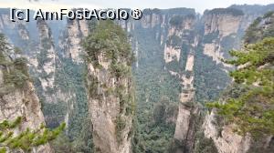 [P76] Hallelujah Mountain (Montana plutitoare din filmul Avatar) » foto by elenaadina
 - 
<span class="allrVoted glyphicon glyphicon-heart hidden" id="av1506565"></span>
<a class="m-l-10 hidden" id="sv1506565" onclick="voting_Foto_DelVot(,1506565,3501)" role="button">șterge vot <span class="glyphicon glyphicon-remove"></span></a>
<a id="v91506565" class=" c-red"  onclick="voting_Foto_SetVot(1506565)" role="button"><span class="glyphicon glyphicon-heart-empty"></span> <b>LIKE</b> = Votează poza</a> <img class="hidden"  id="f1506565W9" src="/imagini/loader.gif" border="0" /><span class="AjErrMes hidden" id="e1506565ErM"></span>