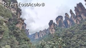 [P83]  -- <small>// FĂRĂ DESCRIERE</small> » foto by elenaadina
 - 
<span class="allrVoted glyphicon glyphicon-heart hidden" id="av1506572"></span>
<a class="m-l-10 hidden" id="sv1506572" onclick="voting_Foto_DelVot(,1506572,3501)" role="button">șterge vot <span class="glyphicon glyphicon-remove"></span></a>
<a id="v91506572" class=" c-red"  onclick="voting_Foto_SetVot(1506572)" role="button"><span class="glyphicon glyphicon-heart-empty"></span> <b>LIKE</b> = Votează poza</a> <img class="hidden"  id="f1506572W9" src="/imagini/loader.gif" border="0" /><span class="AjErrMes hidden" id="e1506572ErM"></span>