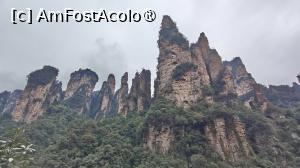 [P84]  -- <small>// FĂRĂ DESCRIERE</small> » foto by elenaadina
 - 
<span class="allrVoted glyphicon glyphicon-heart hidden" id="av1506573"></span>
<a class="m-l-10 hidden" id="sv1506573" onclick="voting_Foto_DelVot(,1506573,3501)" role="button">șterge vot <span class="glyphicon glyphicon-remove"></span></a>
<a id="v91506573" class=" c-red"  onclick="voting_Foto_SetVot(1506573)" role="button"><span class="glyphicon glyphicon-heart-empty"></span> <b>LIKE</b> = Votează poza</a> <img class="hidden"  id="f1506573W9" src="/imagini/loader.gif" border="0" /><span class="AjErrMes hidden" id="e1506573ErM"></span>