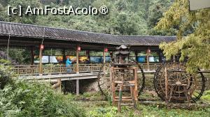 [P02] cateva mori ornamentale » foto by elenaadina
 - 
<span class="allrVoted glyphicon glyphicon-heart hidden" id="av1507048"></span>
<a class="m-l-10 hidden" id="sv1507048" onclick="voting_Foto_DelVot(,1507048,3501)" role="button">șterge vot <span class="glyphicon glyphicon-remove"></span></a>
<a id="v91507048" class=" c-red"  onclick="voting_Foto_SetVot(1507048)" role="button"><span class="glyphicon glyphicon-heart-empty"></span> <b>LIKE</b> = Votează poza</a> <img class="hidden"  id="f1507048W9" src="/imagini/loader.gif" border="0" /><span class="AjErrMes hidden" id="e1507048ErM"></span>