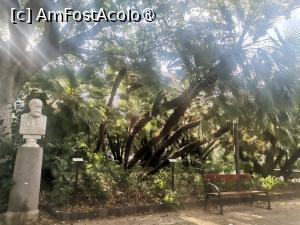 [P17] Hai-hui prin Parcul Bellini » foto by dorgo
 - 
<span class="allrVoted glyphicon glyphicon-heart hidden" id="av1510014"></span>
<a class="m-l-10 hidden" id="sv1510014" onclick="voting_Foto_DelVot(,1510014,3509)" role="button">șterge vot <span class="glyphicon glyphicon-remove"></span></a>
<a id="v91510014" class=" c-red"  onclick="voting_Foto_SetVot(1510014)" role="button"><span class="glyphicon glyphicon-heart-empty"></span> <b>LIKE</b> = Votează poza</a> <img class="hidden"  id="f1510014W9" src="/imagini/loader.gif" border="0" /><span class="AjErrMes hidden" id="e1510014ErM"></span>