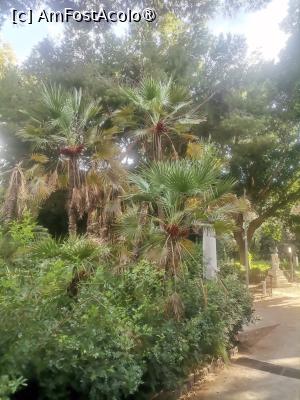 [P18] Hai-hui prin Parcul Bellini » foto by dorgo
 - 
<span class="allrVoted glyphicon glyphicon-heart hidden" id="av1510015"></span>
<a class="m-l-10 hidden" id="sv1510015" onclick="voting_Foto_DelVot(,1510015,3509)" role="button">șterge vot <span class="glyphicon glyphicon-remove"></span></a>
<a id="v91510015" class=" c-red"  onclick="voting_Foto_SetVot(1510015)" role="button"><span class="glyphicon glyphicon-heart-empty"></span> <b>LIKE</b> = Votează poza</a> <img class="hidden"  id="f1510015W9" src="/imagini/loader.gif" border="0" /><span class="AjErrMes hidden" id="e1510015ErM"></span>