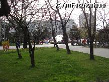 [P12] Parcul spre intrarea principala » foto by ionescunic
 - 
<span class="allrVoted glyphicon glyphicon-heart hidden" id="av65119"></span>
<a class="m-l-10 hidden" id="sv65119" onclick="voting_Foto_DelVot(,65119,3511)" role="button">șterge vot <span class="glyphicon glyphicon-remove"></span></a>
<a id="v965119" class=" c-red"  onclick="voting_Foto_SetVot(65119)" role="button"><span class="glyphicon glyphicon-heart-empty"></span> <b>LIKE</b> = Votează poza</a> <img class="hidden"  id="f65119W9" src="/imagini/loader.gif" border="0" /><span class="AjErrMes hidden" id="e65119ErM"></span>
