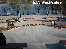 [P25] Scara de coborare in parc superba » foto by ionescunic
 - 
<span class="allrVoted glyphicon glyphicon-heart hidden" id="av65132"></span>
<a class="m-l-10 hidden" id="sv65132" onclick="voting_Foto_DelVot(,65132,3511)" role="button">șterge vot <span class="glyphicon glyphicon-remove"></span></a>
<a id="v965132" class=" c-red"  onclick="voting_Foto_SetVot(65132)" role="button"><span class="glyphicon glyphicon-heart-empty"></span> <b>LIKE</b> = Votează poza</a> <img class="hidden"  id="f65132W9" src="/imagini/loader.gif" border="0" /><span class="AjErrMes hidden" id="e65132ErM"></span>