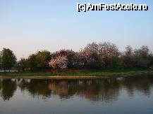 [P44] Peninsula din parc » foto by ionescunic
 - 
<span class="allrVoted glyphicon glyphicon-heart hidden" id="av65154"></span>
<a class="m-l-10 hidden" id="sv65154" onclick="voting_Foto_DelVot(,65154,3511)" role="button">șterge vot <span class="glyphicon glyphicon-remove"></span></a>
<a id="v965154" class=" c-red"  onclick="voting_Foto_SetVot(65154)" role="button"><span class="glyphicon glyphicon-heart-empty"></span> <b>LIKE</b> = Votează poza</a> <img class="hidden"  id="f65154W9" src="/imagini/loader.gif" border="0" /><span class="AjErrMes hidden" id="e65154ErM"></span>