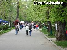 [P07] Aleile din parc » foto by laurentiucapac
 - 
<span class="allrVoted glyphicon glyphicon-heart hidden" id="av65858"></span>
<a class="m-l-10 hidden" id="sv65858" onclick="voting_Foto_DelVot(,65858,3511)" role="button">șterge vot <span class="glyphicon glyphicon-remove"></span></a>
<a id="v965858" class=" c-red"  onclick="voting_Foto_SetVot(65858)" role="button"><span class="glyphicon glyphicon-heart-empty"></span> <b>LIKE</b> = Votează poza</a> <img class="hidden"  id="f65858W9" src="/imagini/loader.gif" border="0" /><span class="AjErrMes hidden" id="e65858ErM"></span>
