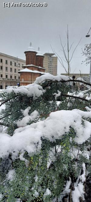 [P13] Biserica Crețulescu. » foto by tata123 🔱
 - 
<span class="allrVoted glyphicon glyphicon-heart hidden" id="av1518494"></span>
<a class="m-l-10 hidden" id="sv1518494" onclick="voting_Foto_DelVot(,1518494,3511)" role="button">șterge vot <span class="glyphicon glyphicon-remove"></span></a>
<a id="v91518494" class=" c-red"  onclick="voting_Foto_SetVot(1518494)" role="button"><span class="glyphicon glyphicon-heart-empty"></span> <b>LIKE</b> = Votează poza</a> <img class="hidden"  id="f1518494W9" src="/imagini/loader.gif" border="0" /><span class="AjErrMes hidden" id="e1518494ErM"></span>